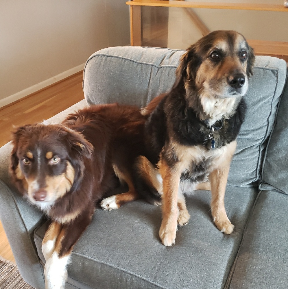 Meet your Posher, Erica